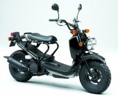 2008 Honda Zoomer photo